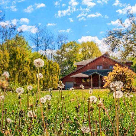 Amigosranch Villa Крушевац Екстериор снимка