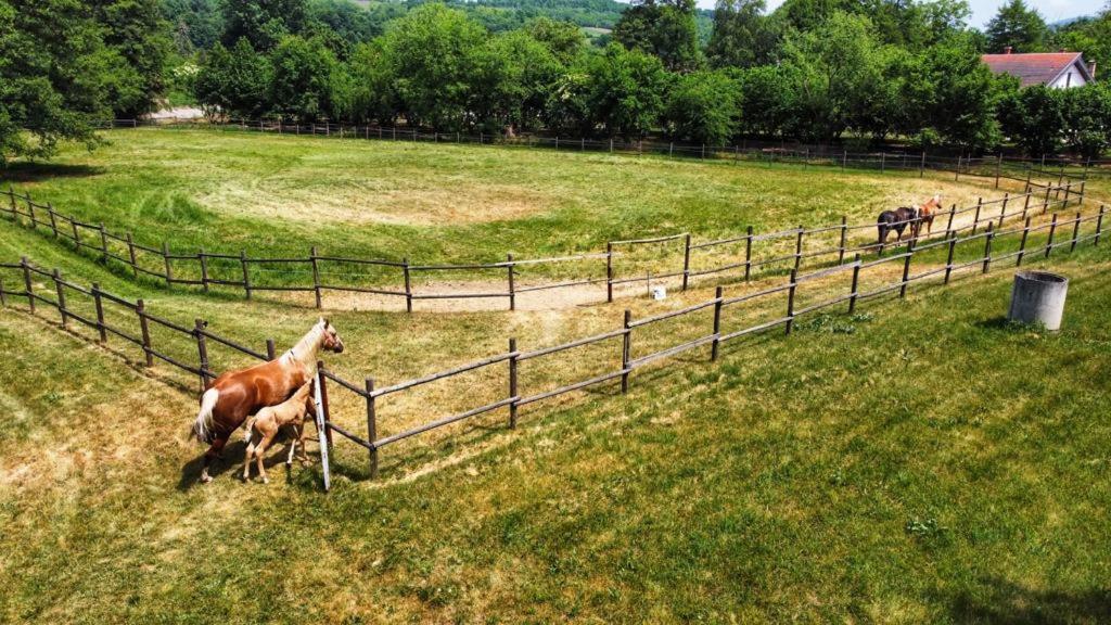 Amigosranch Villa Крушевац Екстериор снимка