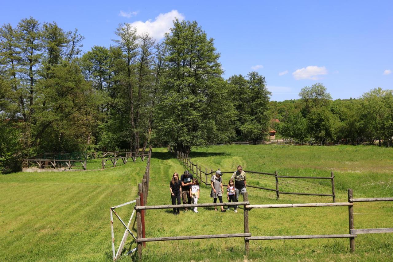 Amigosranch Villa Крушевац Екстериор снимка