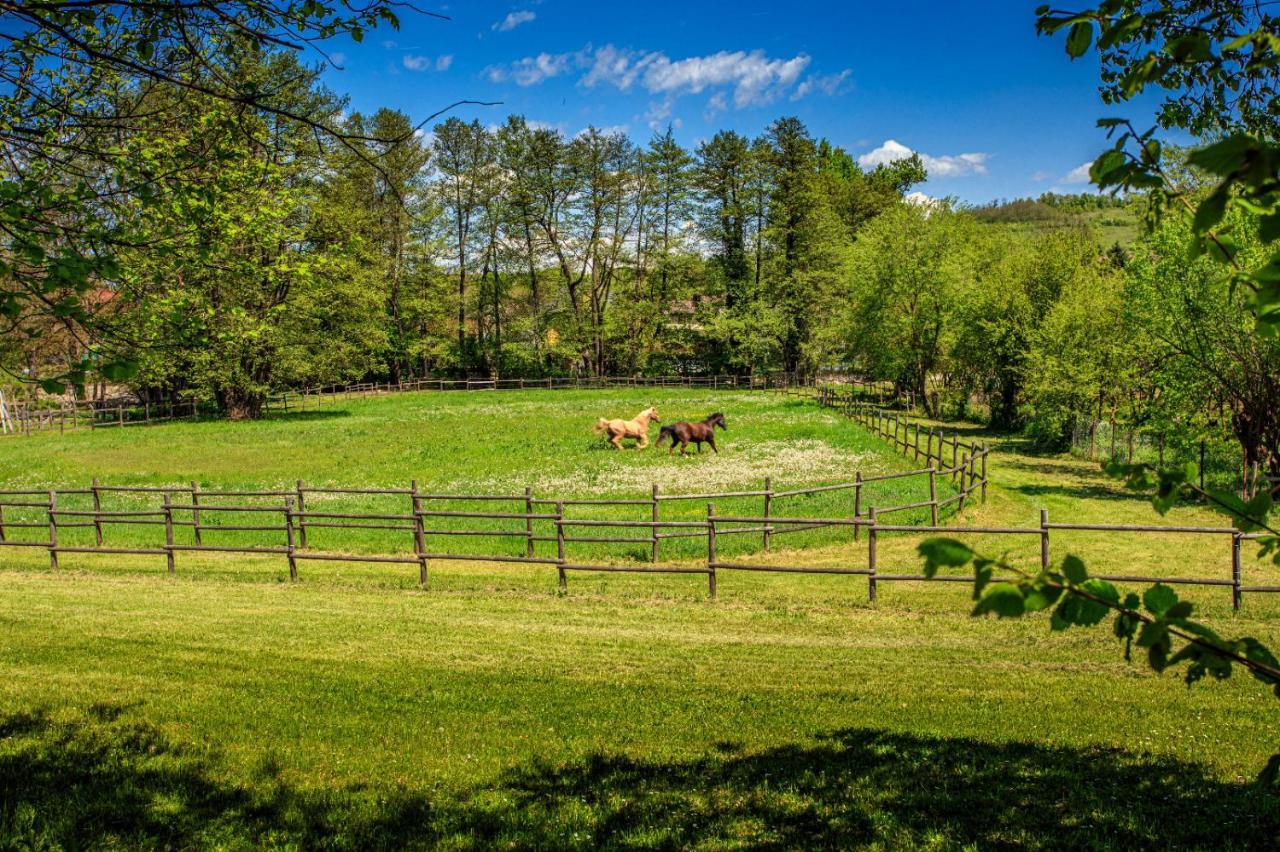 Amigosranch Villa Крушевац Екстериор снимка